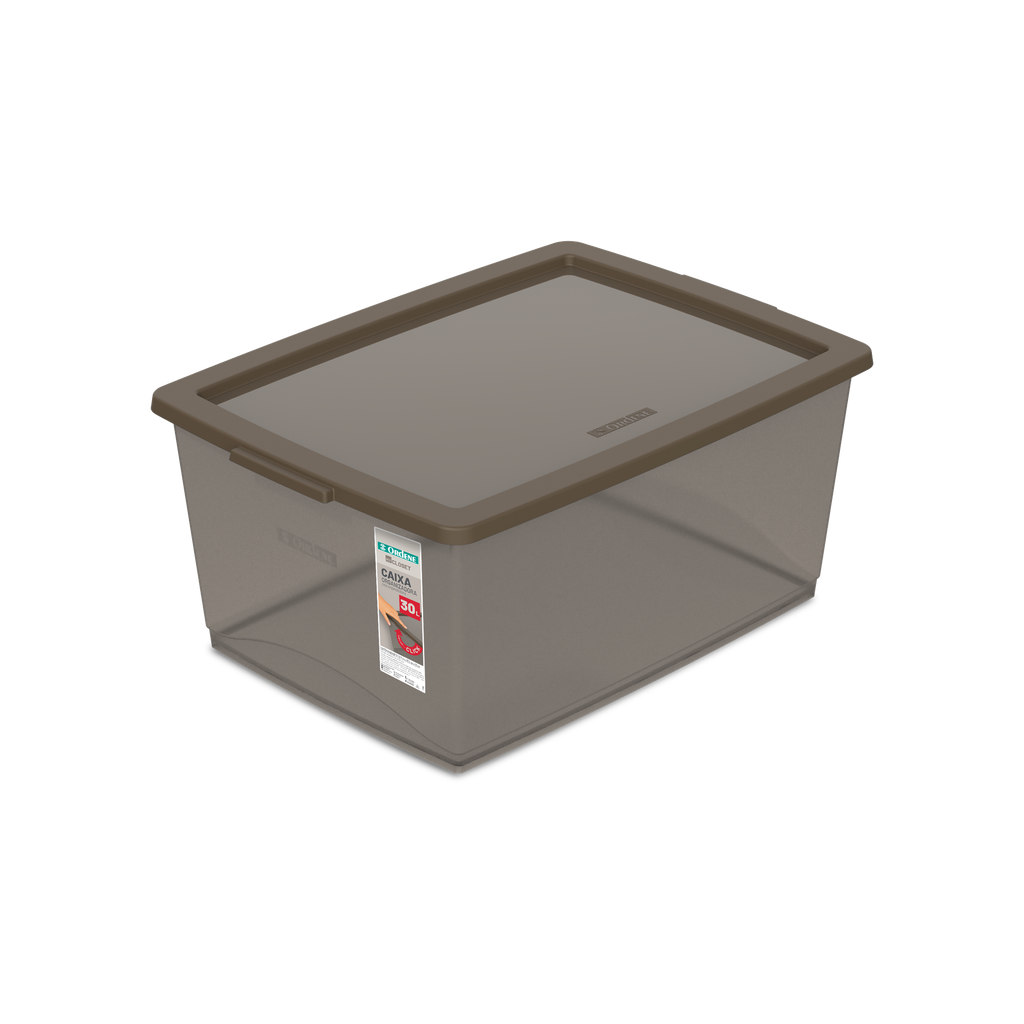 CAJA ORGANIZADORA CON TRABAS 30 LITROS